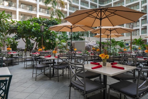 Sheraton Suites Fort Lauderdale At Cypress Creek image 1